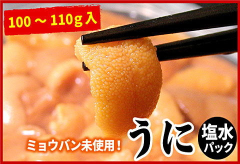エゾバフンウニ(黄色)塩水パック100～110g×1P [2026年1月下旬以降発送] C-07021