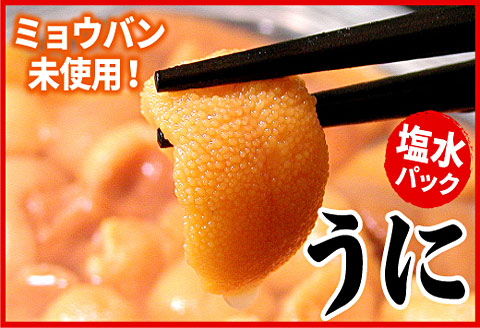 エゾバフンウニ(黄色)塩水パック70g×1P [2026年1月下旬以降発送] B-07019