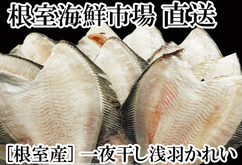 【北海道根室産】一夜干し浅羽がれい20枚 A-11059