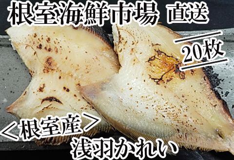【北海道根室産】一夜干し浅羽かれい20枚 A-14063