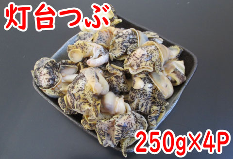 【北海道根室産】灯台つぶむき身250g×4P A-19005