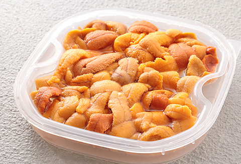 エゾバフンウニ(黄色～赤色)100～110g[2026年1月中旬以降発送] A-24010