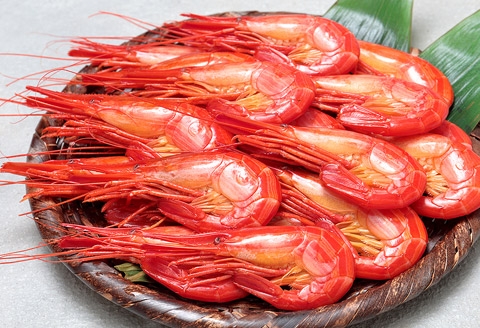 ＜12月17日決済分まで年内配送＞【北海道根室産】北海しまえび400g(19～24尾) A-24012