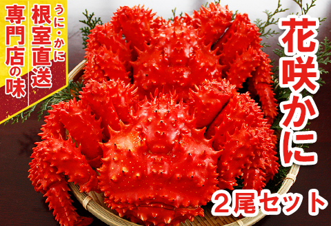 【北海道根室産】ボイル花咲蟹400g～500g×2尾 A-29009