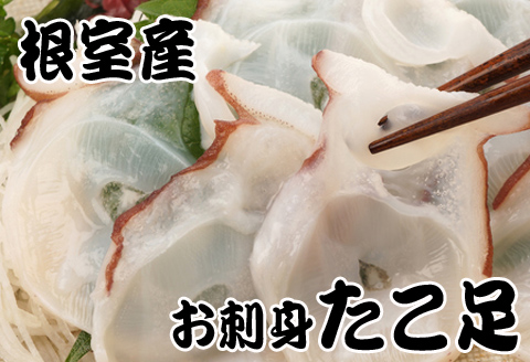 ＜12月21日決済分まで年内配送＞【北海道根室産】たこ足800g前後～1.4kg前後×1本 A-30050