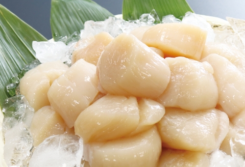 ＜12月17日決済分まで年内配送＞＼漁業者応援品／【北海道根室産】ホタテ貝柱700g C-32030