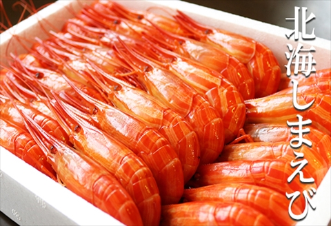 【北海道根室産】北海しまえび600g(約35～39尾) B-32056