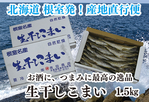 ＜12月17日決済分まで年内配送＞【北海道根室産】生干しこまい500g×3箱(計1.5kg) A-35020
