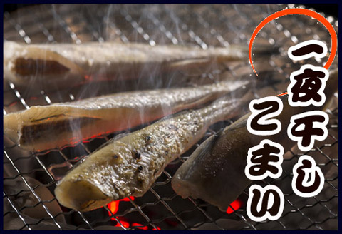 ＜12月21日決済分まで年内配送＞【北海道根室産】一夜干しこまい200g×10袋 A-36012