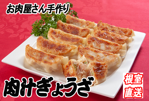 餃子25個×2P A-36049