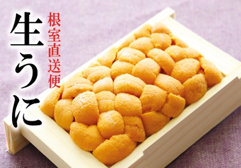 エゾバフンウニ70g×1折[2026年2月中旬以降発送] A-40018