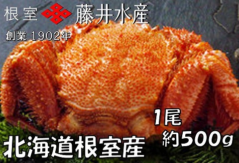 <年内配送可>【北海道根室産】ボイル毛がに500g×1尾 A-42114
