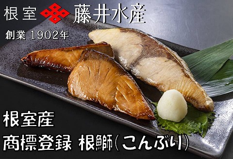 【北海道根室産】天然根鰤(こんぶり)切身セット A-42124