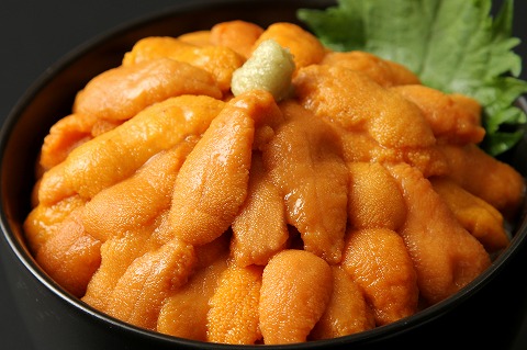 エゾバフンウニ塩水パック70g前後×1P  A-54001