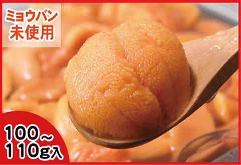 エゾバフンウニ(黄色)塩水パック100～110g×1P [2026年1月下旬以降発送] C-56019