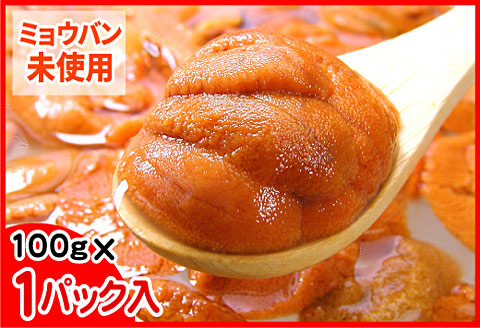 エゾバフンウニ(赤色)塩水パック100g×1P [2026年1月下旬以降発送] B-56016