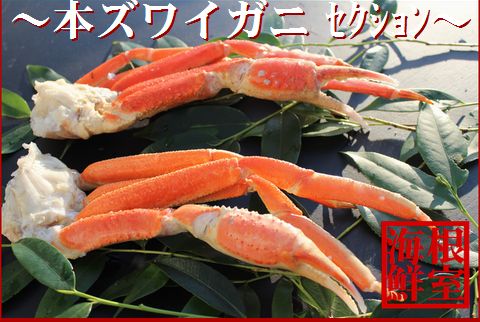 ＜12月21日決済分まで年内配送＞本ズワイガニ足詰合せ B-57021
