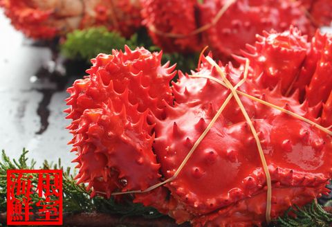 【北海道根室産】花咲ガニ300～400g×6尾 A-57004