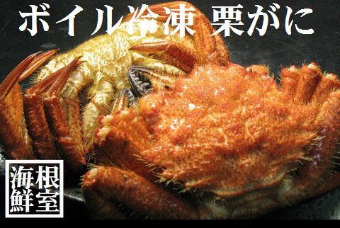 ＜12月21日決済分まで年内配送＞【北海道根室産】クリガニ12～18尾(計2.4kg) A-57017