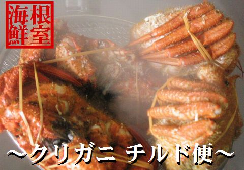【12/31決済分まで1月中配送】 【北海道根室産】クリガニ計2kg詰め合わせ(チルド便) A-57018