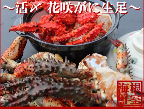【北海道根室産】活〆花咲ガニ生足600g A-57020