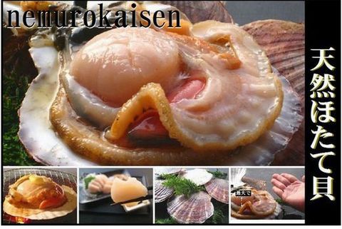 ＜12月21日決済分まで年内配送＞【北海道根室産】活ホタテ貝2kg詰合せ A-57030