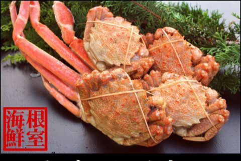 ＜12月21日決済分まで年内配送＞ズワイガニとクリガニの食べ比べセット A-57031