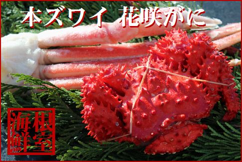 ＜12月21日決済分まで年内配送＞本ズワイガニ足1肩、花咲ガニ1尾(計450～500g前後) A-57040