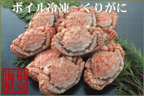 ＜12月21日決済分まで年内配送＞【北海道根室産】クリガニ9～12尾(計2kg前後) A-57042