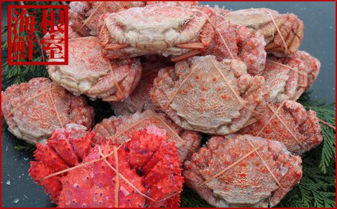 【北海道根室産】クリガニ15～21尾(計3kg前後)、花咲ガニ1尾 A-57043