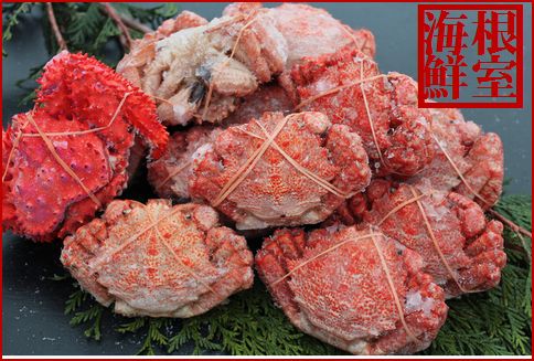 ＜12月21日決済分まで年内配送＞【北海道根室産】クリガニ12～14尾(計2.5kg前後)、花咲ガニ1尾 A-57044