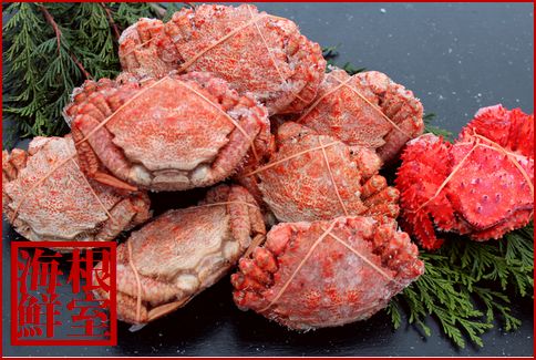 ＜12月21日決済分まで年内配送＞【北海道根室産】クリガニ8～9尾(計2kg前後)、花咲ガニ1尾 A-57045