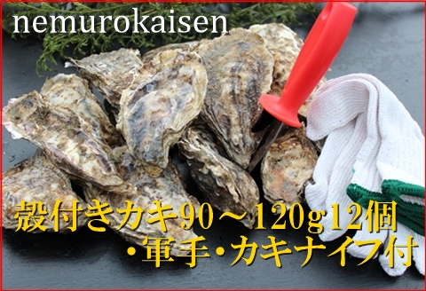＜12月21日決済分まで年内配送＞【北海道根室産】殻付カキ90～120g×12個 A-57055