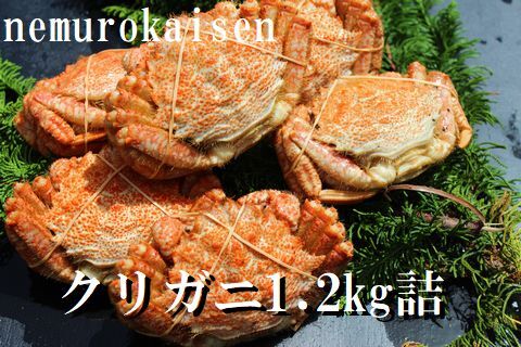 ＜12月21日決済分まで年内配送＞【北海道根室産】クリガニ200～250g×5～6尾(計1.2kg) A-57056