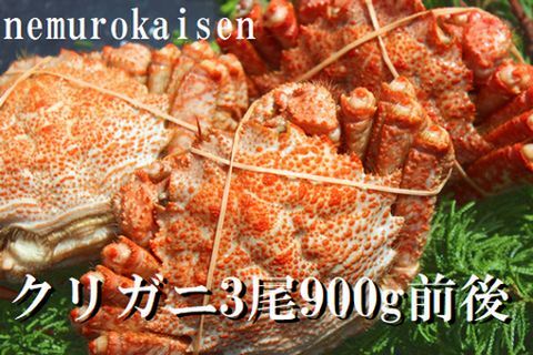＜12月21日決済分まで年内配送＞【北海道根室産】クリガニ3尾(計900g前後) A-57057