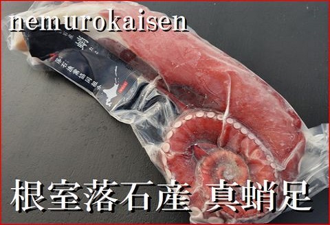 ＜12月21日決済分まで年内配送＞【北海道根室産】刺身用真だこ足800g～1.2kg前後×1本 A-57059
