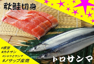 ＜12月21日決済分まで年内配送＞【北海道根室産】生冷凍サンマ5本入×2P・秋鮭切身3切れ×1P A-59002