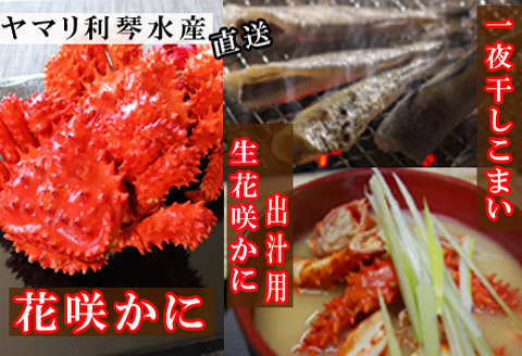 ＜12月21日決済分まで年内配送＞【北海道根室産】花咲かに・一夜干しこまいセット A-70015