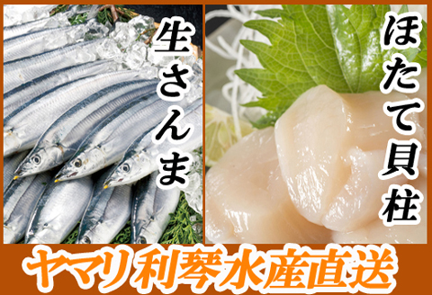 ＜12月21日決済分まで年内配送＞冷凍さんま・ほたて貝柱セット A-70034