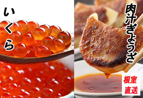 ＜12月21日決済分まで年内配送＞餃子25個×1P、いくら醤油漬け100g×1P A-70042