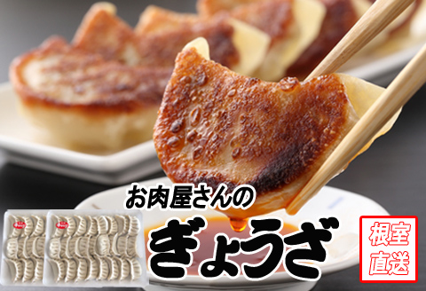 餃子25個×2P A-70049