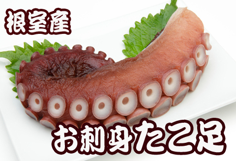 ＜12月21日決済分まで年内配送＞【北海道根室産】たこ足800g前後～1.4kg前後×1本 A-70051