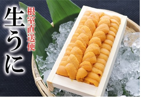 エゾバフンウニ130g×1折[2026年2月下旬以降発送] B-71019