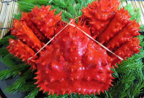 【北海道根室産】ボイル花咲かに400～490g×4尾 A-72013