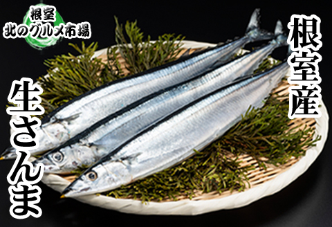 ＜12月21日決済分まで年内配送＞【北海道根室産】冷凍さんま5尾×4P(計20尾) A-76001