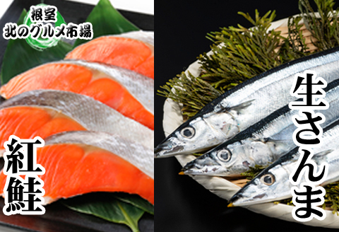 甘塩紅鮭5切×2P・冷凍生さんま5尾×2P A-76008