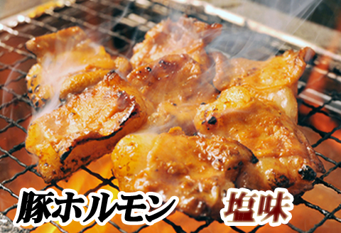 味付け豚ホルモン(塩味)250g×4P A-76025