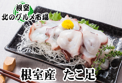 ＜12月21日決済分まで年内配送＞【北海道根室産】たこ足800g前後～1.4kg前後×1本 A-76028