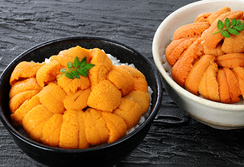 エゾバフンウニ塩水パック50～60g×2P[2026年1月中旬以降発送] A-81022