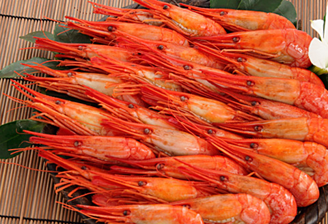 ＜12月17日決済分まで年内配送＞【北海道根室産】北海シマエビ400g(19～24尾) A-81011